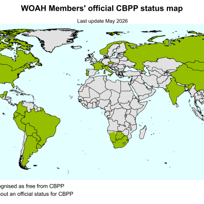 Cbpp World En