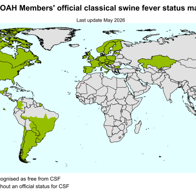 Csf World En