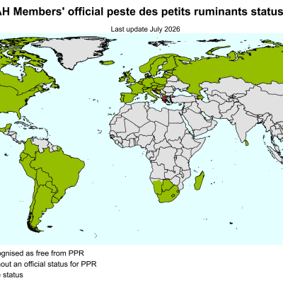 Ppr World En